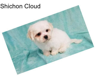 Shichon Cloud