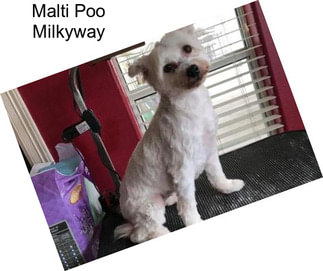 Malti Poo Milkyway