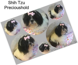 Shih Tzu Precioushold