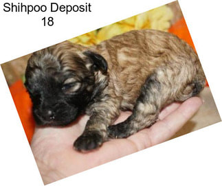 Shihpoo Deposit 18