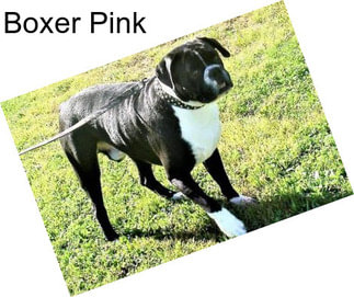 Boxer Pink