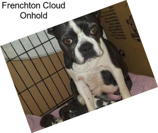 Frenchton Cloud Onhold