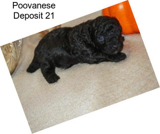 Poovanese Deposit 21