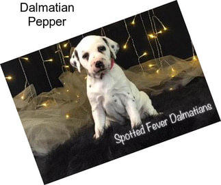 Dalmatian Pepper