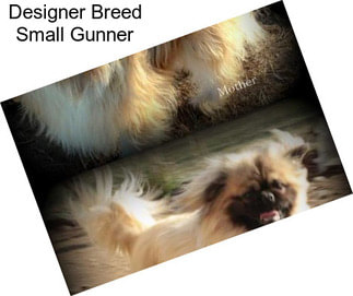 Designer Breed Small Gunner