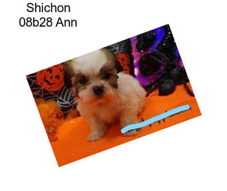 Shichon 08b28 Ann