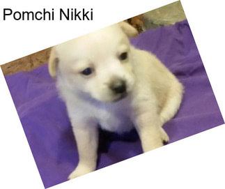 Pomchi Nikki