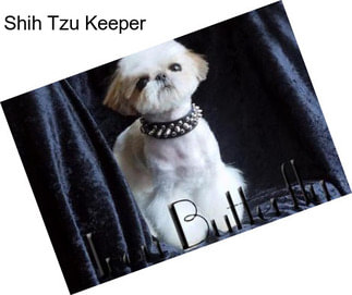 Shih Tzu Keeper