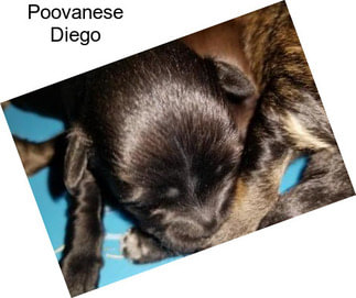 Poovanese Diego