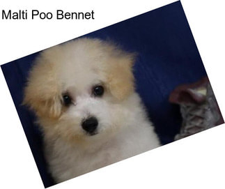 Malti Poo Bennet