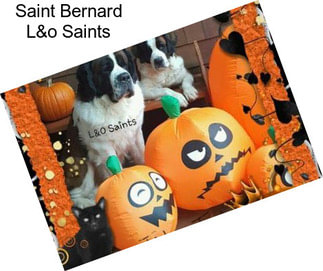 Saint Bernard L&o Saints