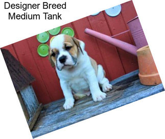 Designer Breed Medium Tank