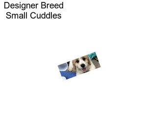 Designer Breed Small Cuddles