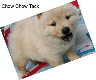 Chow Chow Tack