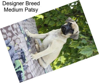 Designer Breed Medium Patsy