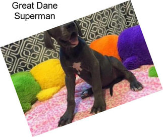 Great Dane Superman