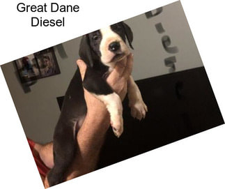 Great Dane Diesel