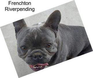 Frenchton Riverpending