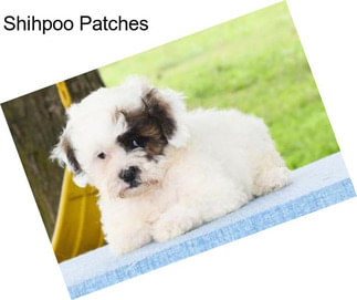 Shihpoo Patches