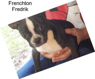 Frenchton Fredrik