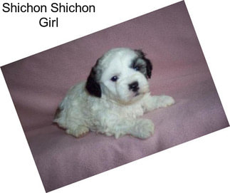 Shichon Shichon Girl