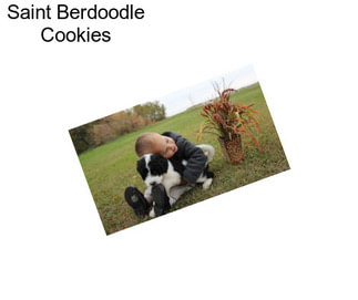 Saint Berdoodle Cookies