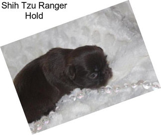 Shih Tzu Ranger Hold