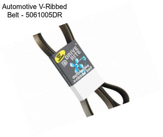 Automotive V-Ribbed Belt - 5061005DR