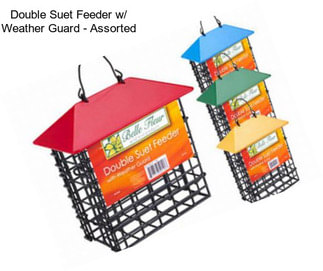 Double Suet Feeder w/ Weather Guard - Assorted