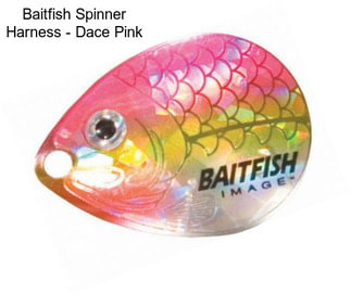 Baitfish Spinner Harness - Dace Pink