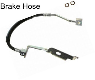 Brake Hose