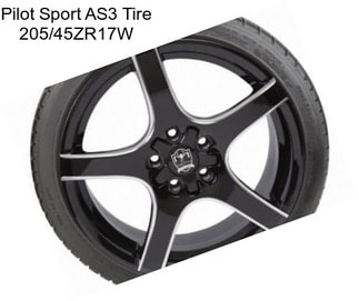 Pilot Sport AS3 Tire 205/45ZR17W