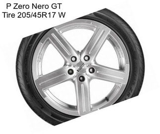 P Zero Nero GT Tire 205/45R17 W