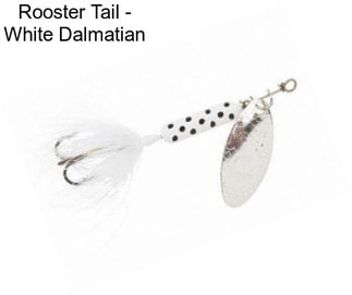 Rooster Tail - White Dalmatian