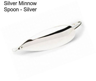 Silver Minnow Spoon - Silver