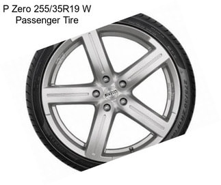 P Zero 255/35R19 W Passenger Tire