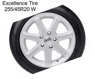 Excellence Tire 255/45R20 W