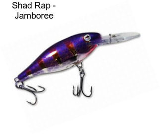 Shad Rap - Jamboree