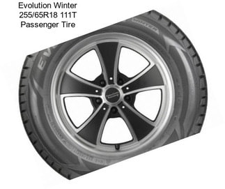 Evolution Winter 255/65R18 111T Passenger Tire