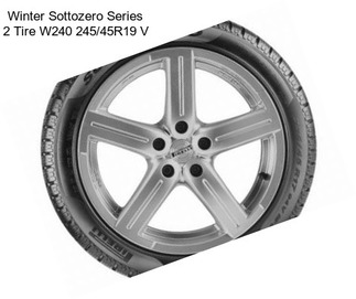 Winter Sottozero Series 2 Tire W240 245/45R19 V