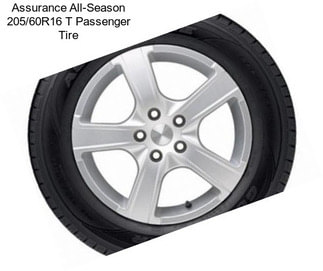 Assurance All-Season 205/60R16 T Passenger Tire