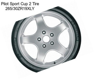 Pilot Sport Cup 2 Tire 265/30ZR19XLY