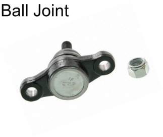 Ball Joint