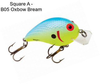 Square A - B05 Oxbow Bream