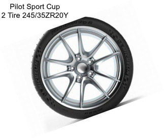 Pilot Sport Cup 2 Tire 245/35ZR20Y