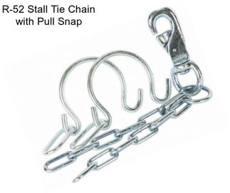 R-52 Stall Tie Chain with Pull Snap