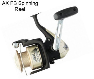 AX FB Spinning Reel