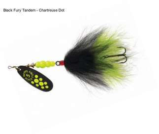 Black Fury Tandem - Chartreuse Dot