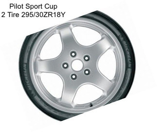 Pilot Sport Cup 2 Tire 295/30ZR18Y