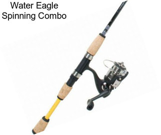 Water Eagle Spinning Combo